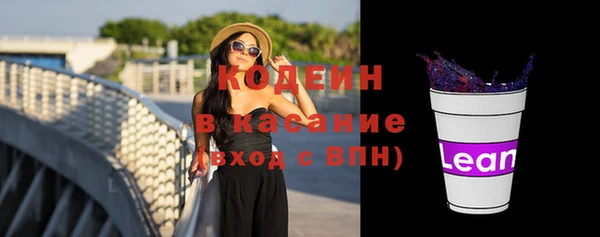 хмурый Конаково