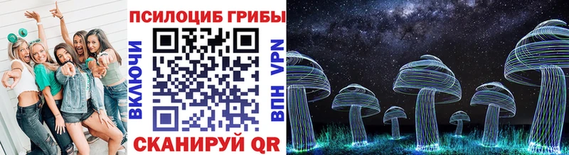где продают   Бирюч  Псилоцибиновые грибы Psilocybine cubensis 